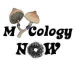 MycologyNow.com