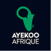 AyekooAfrique.com