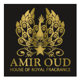 Amir Oud