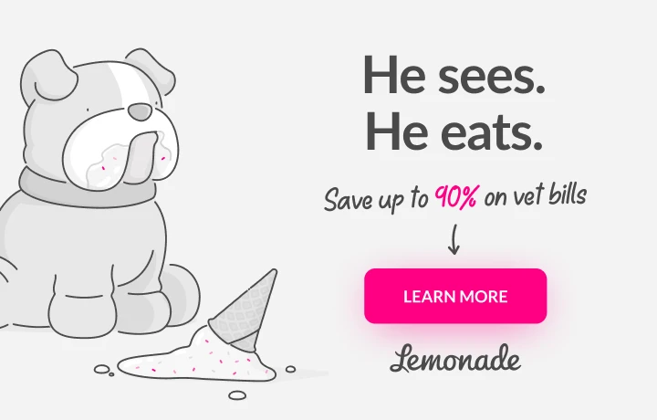 Lemonade banner